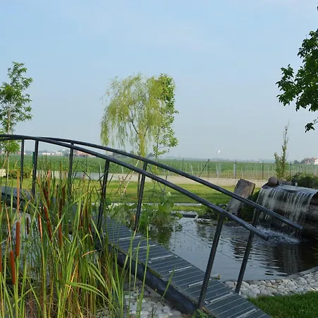 Characteristic In With Pool Codigoro