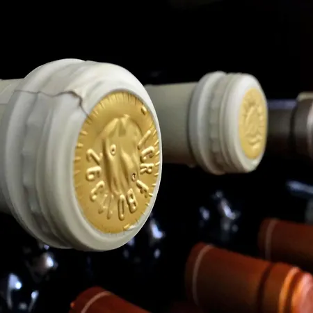 Characteristic In With Pool * Codigoro