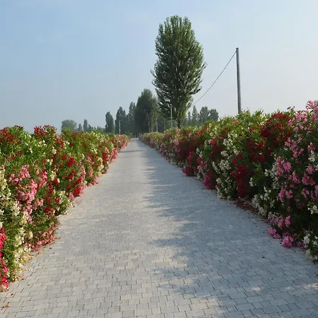 Apartamento Characteristic In With Pool Codigoro