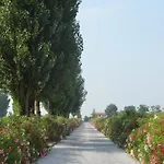 Apartament Characteristic In With Pool Codigoro