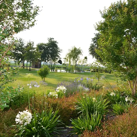 Characteristic In With Pool アパート コディゴーロ