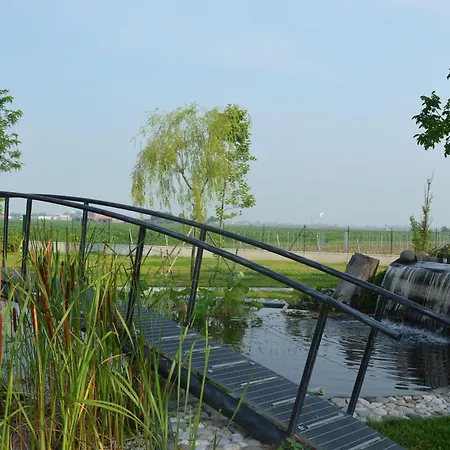 Characteristic In With Pool