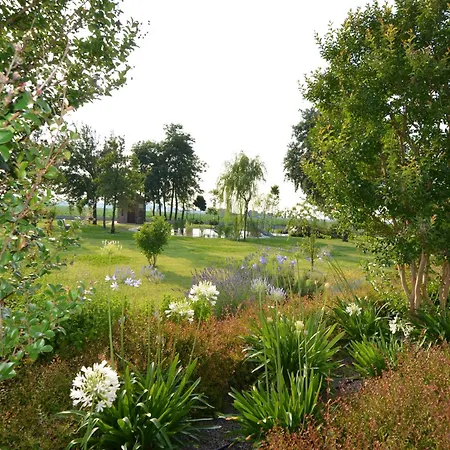 Characteristic In With Pool דירה קודיגורו