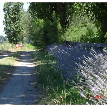 Characteristic In With Pool Apartamento