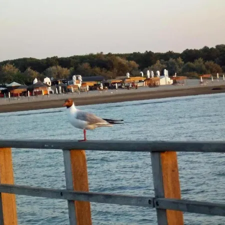 Characteristic In With Pool דירה קודיגורו