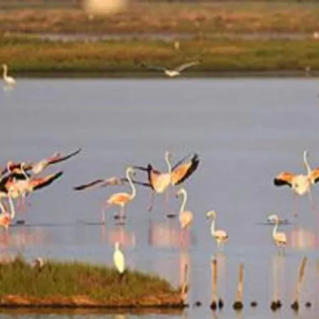 Characteristic Apartment In Codigoro With Pool
