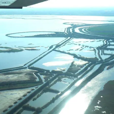 Characteristic In With Pool דירה