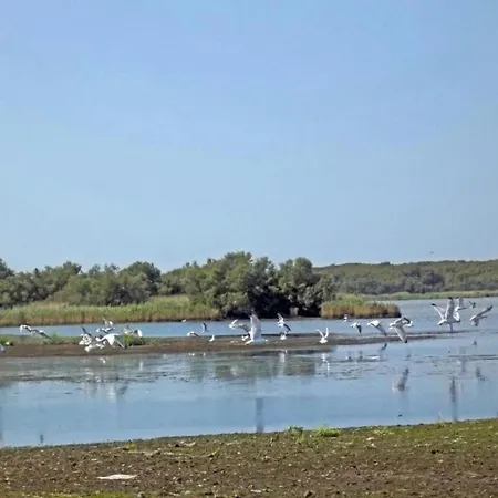 דירה Characteristic In With Pool