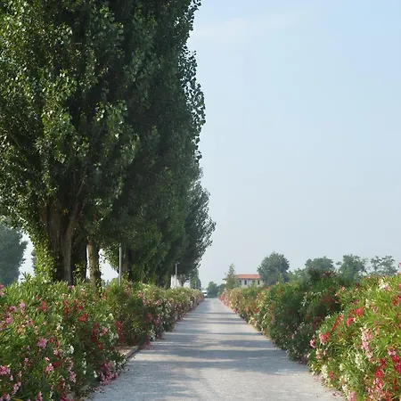 דירה Characteristic In With Pool קודיגורו