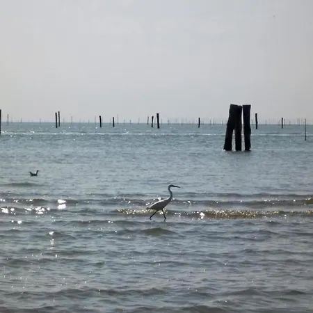 דירה Characteristic In With Pool קודיגורו