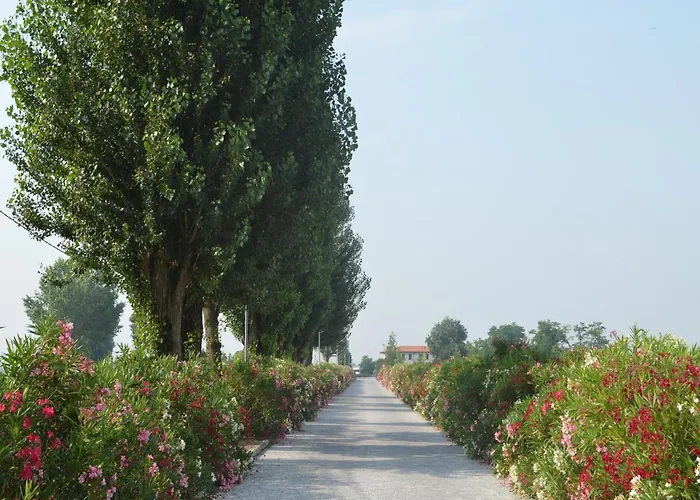 Characteristic In With Pool *