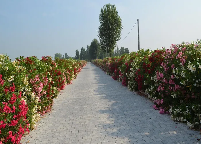 Appartement Characteristic In With Pool Codigoro