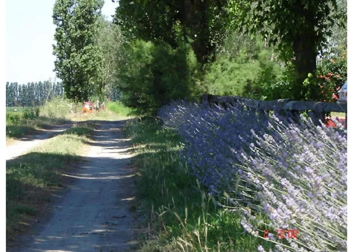 Characteristic In With Pool Apartamento