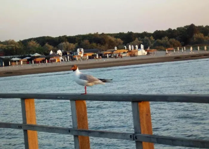 Characteristic In With Pool Appartement Codigoro