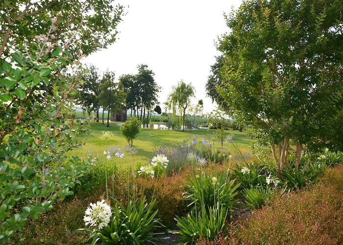 Appartement Characteristic In With Pool Codigoro