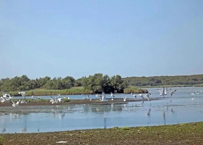 Appartement Characteristic In With Pool