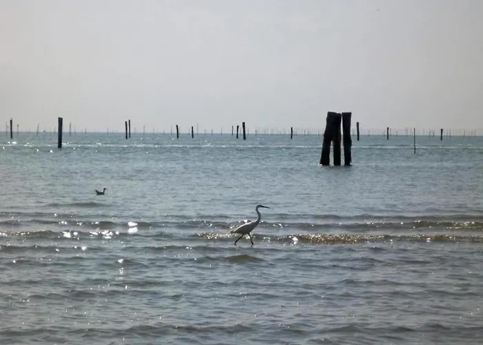 Appartement Characteristic In With Pool Codigoro